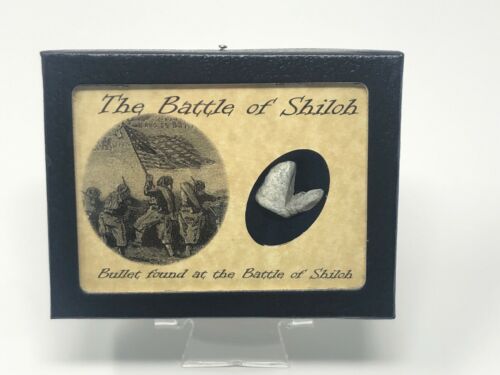 Shot Civil War Bullet From The Battle Of Shiloh With Display Case And Coa